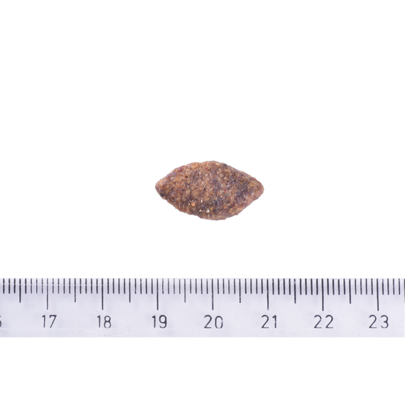 Корм сухий Brit Care Dog Grain-free Sensitive для собак з чутливим травленням та харчовою непереносимістю беззерновий з олен | Зображення 2