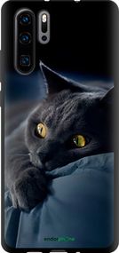 Чохол на Huawei P30 Pro Димчастий кіт "825b-1621-2448"