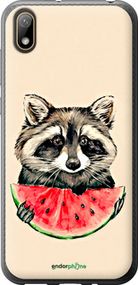 Чохол на Huawei Y5 2019 Єнотик з кавуном "4605t-1695-2448"