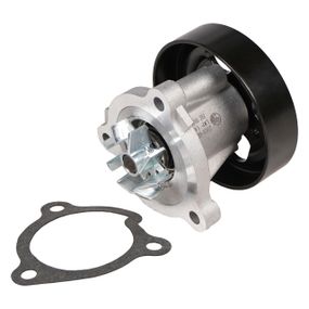 Помпа Renault Koleos (08-) Nissan Primera P12 (02-), X-Trail T30 (01-), Teana J32 (08-), Teana L33 (13-), X-Trail T31 (07-) ,