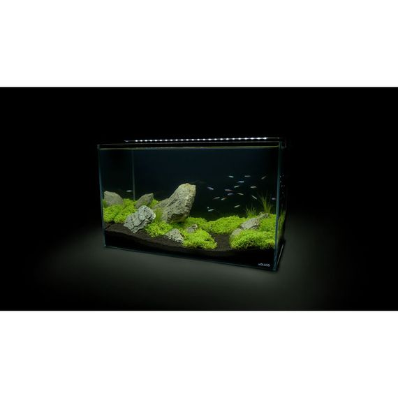 Акваріумний набір Aqua Set 66 літрів | Зображення 3