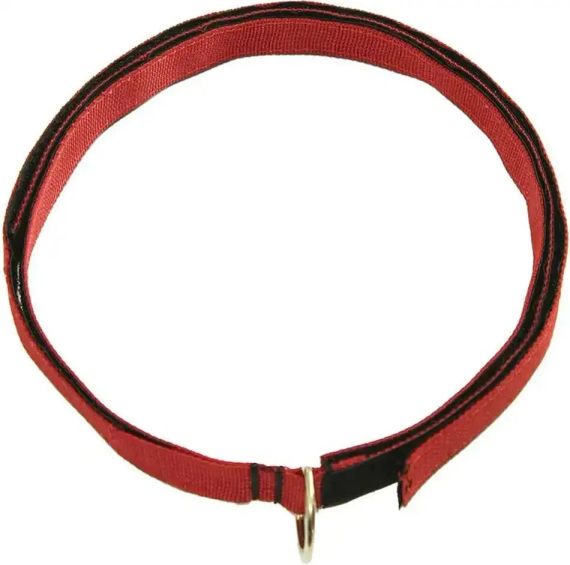 Петля анкерная First Ascent для крепления инструмента до 25 кг