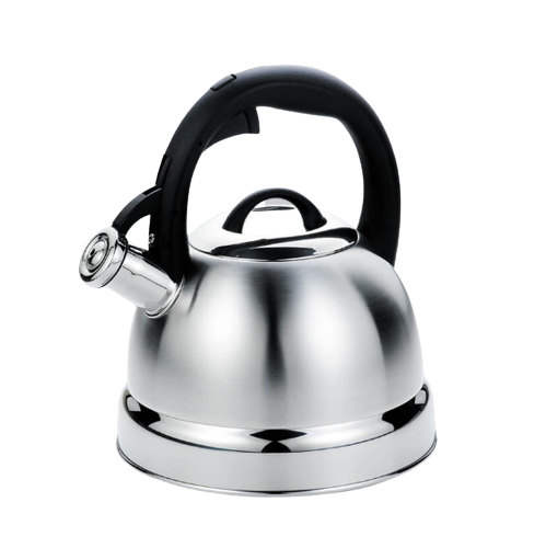 Чайник 2,6 л металевий MR-1329 Maestro