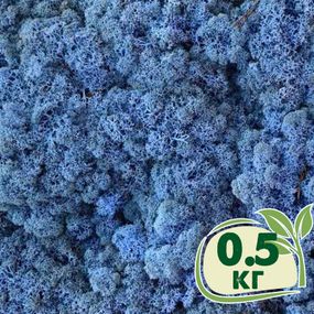 Стабилизированный мох ягель Nordic moss Лавандовый 0,5 кг