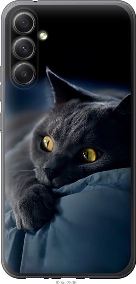 Чехол на Samsung Galaxy A34 A346E Дымчатый кот "825u-2936-17620"
