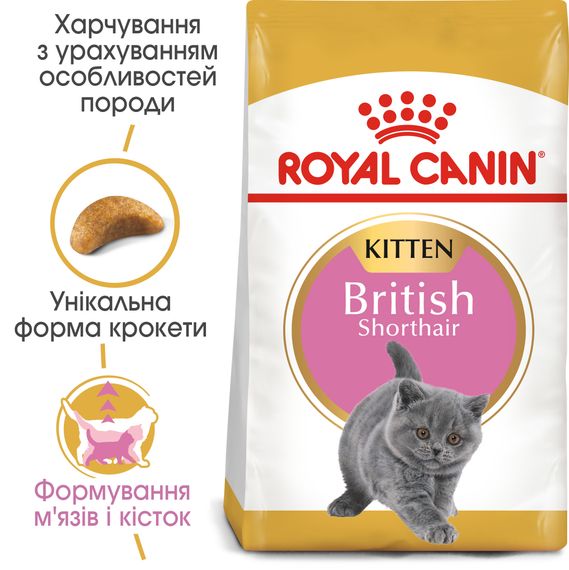 Royal Canin KITTEN BRITISH SHORTHAIR Корм для кошенят породи британська короткошерста до 12 місяців 10 кг | Зображення 4