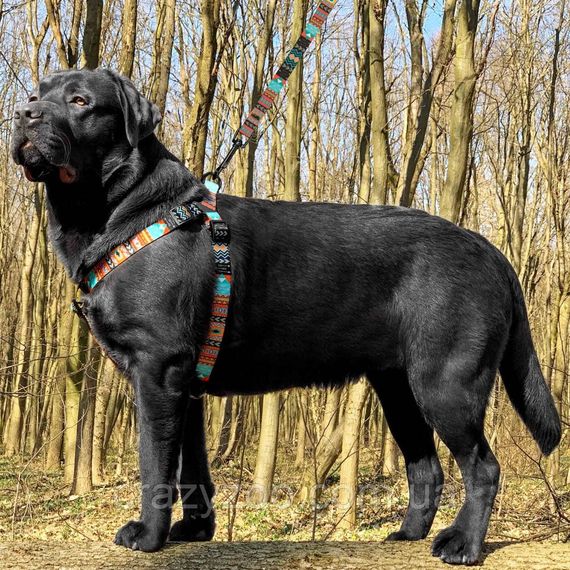 Шлея для собак BronzeDog Tribal M нейлон ацтеки 45-56 см 71/1335 | Зображення 3