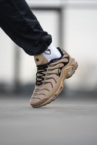 Кроссовки N-i-k-e Air Max TN 0656 43