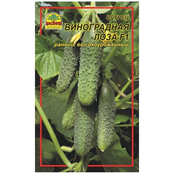 Насіння огірка Виноградна лоза F1 3 г (ок. 120 шт.)