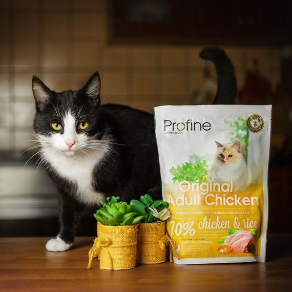 Корм сухий Profine Cat Original Adult для дорослих котів усіх порід з куркою та рисом 300 г | Зображення 5