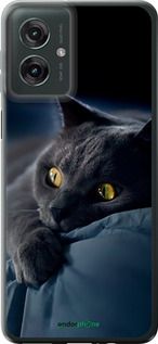 Чохол на Motorola Moto G55 Димчастий кіт "825u-3843-2448"