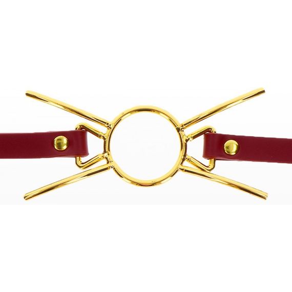 Кляп с кольцом Taboom Open Mouth Spider Gag sexstyle | Зображення 2