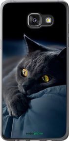 Чохол на Samsung Galaxy A7 (2016) A710F Димчастий кіт "825t-121-2448"