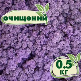 Очищений стабілізований мох ягель Еріка 0,5 кг