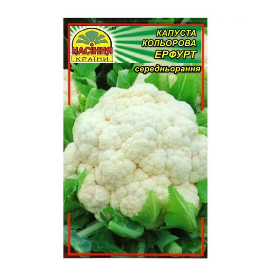 Насіння капусти кольорової Ерфурт 0,5 г