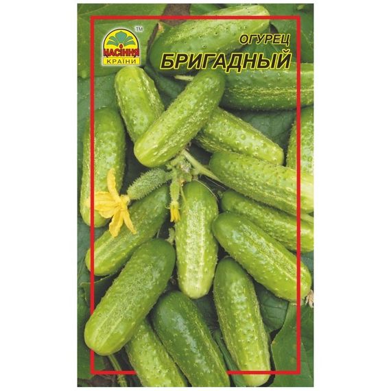 Насіння огірка Бригадний 0,5 г (Насіння країни)