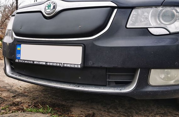 Зимова накладка на решітку (Верхня, 2008-2013) Глянцева для Skoda Superb рр | Зображення 1