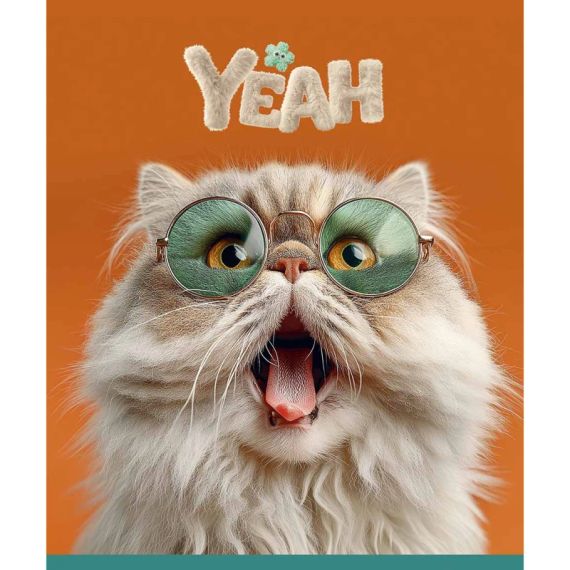 Зошит учнівський Cats portraits Star 3631K 48 аркушів Різнокольоровий shop (482000647644103631) | Зображення 4