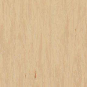 Лінолеум Tarkett Standard Plus Sandstone 0484 (2m)