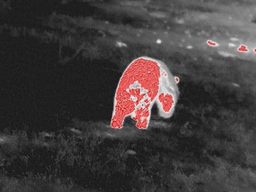 Тепловізійний монокуляр GUIDE TrackIR 400x300 3.3-13.2x 3000м Тепловізор монокуляр Тактичний тепловізор | Зображення 3