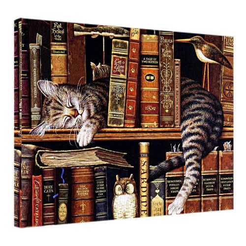 Картина на полотні Кіт у книгах 45x65 см (H4565_ZVR001)
