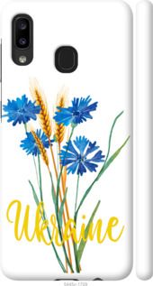 Чохол на Samsung Galaxy A20e A202F Ukraine v2 "5445m-1709-24368"