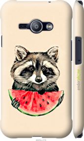 Чохол на Samsung Galaxy J1 Ace J110H Єнотик з кавуном "4605m-215-2448"