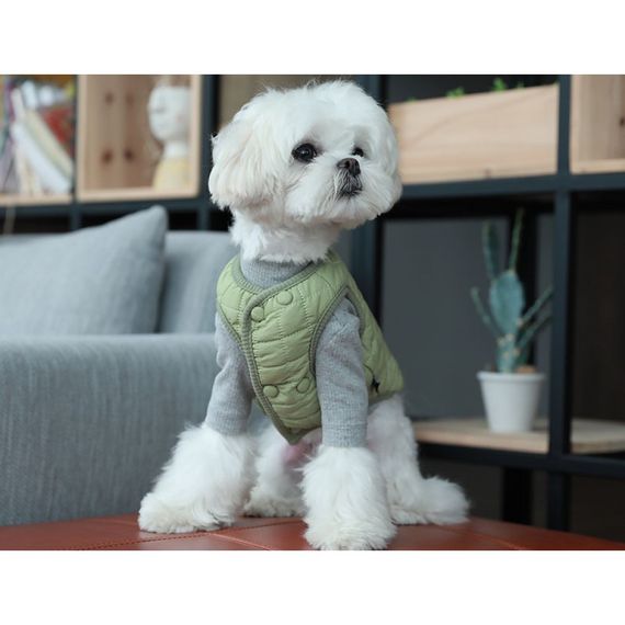 Жилетка для собак Cheepet Minni Doggy прошитая полосами, на кнопках, зеленая | Зображення 1