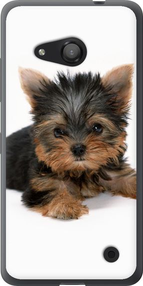 Чехол на Microsoft Lumia 550 Щенок йоркширского терьера "931u-343-17620"