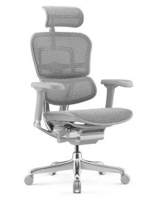 Кресло компьютерное ERGOHUMAN ELITE 2 (EHE2-AG-HAM-5D-L) сетка T-168-B2