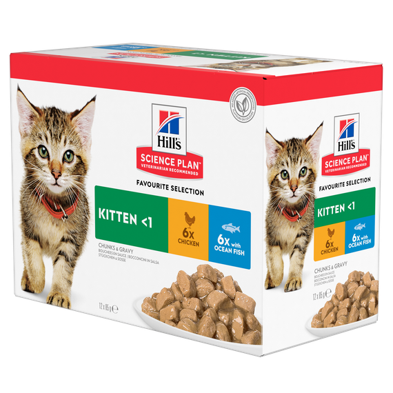 Hill's Science Plan Kitten Вологий корм для кошенят і кішок у період вагітності та лактації, з куркою та з океанічною рибою, пауч, 85г (6+6 шт)