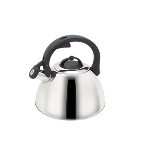 Чайник 2,5л металевий MR-1335 Maestro