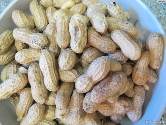 Арахис в скорлупе неочищенный  Peanuts  Alesto, 500г, Германия, сушеный,  обжаренный | Зображення 1