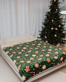 Плед Dushka Home Новорічний 20960 200х230 см зелений