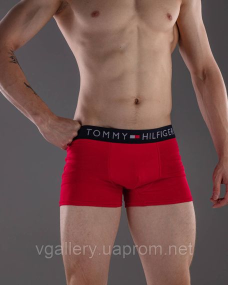 Чоловічі труси-боксери TH 5 шт. у коробіні — 5 шт. чорних трусів у коробці, Чорні труси в коробці Преміум L | Зображення 6