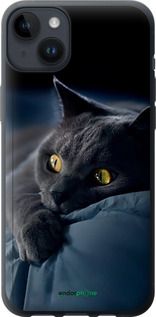 Чохол на iPhone 14 Plus Димчастий кіт "825u-2645-2448"