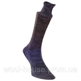 Шкарпеткова пряжа Laines du Nord Watercolor Sock, 106