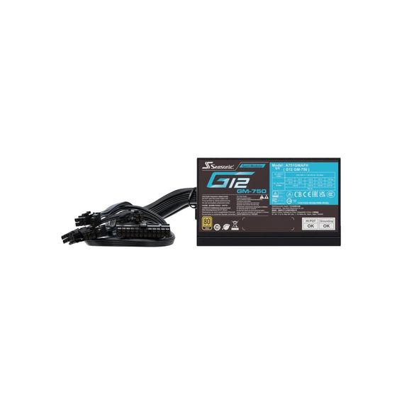 Блок живлення Seasonic 750W (SSR G12 GM-750) | Зображення 1