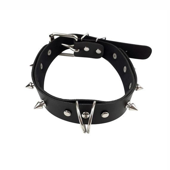 Нашийник з шипами та повідцем Art of Sex - Collar Spikes and Leash | Зображення 1