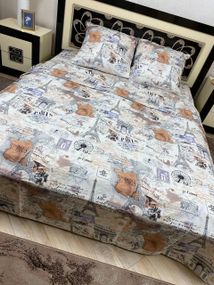 Комплект постельного белья Soft полуторный 150х215 см карта Париж