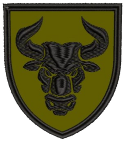 Шеврон 246 Окремий Батальйон ЗСУ