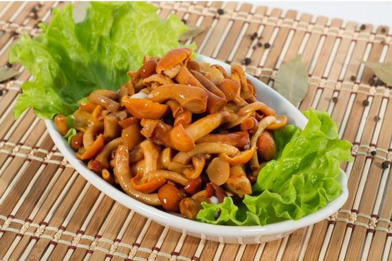 Опеньок літній 10 г | Зображення 3