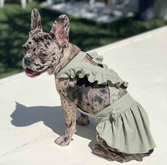 Сукня льон рюші з вузликами хакі P-26