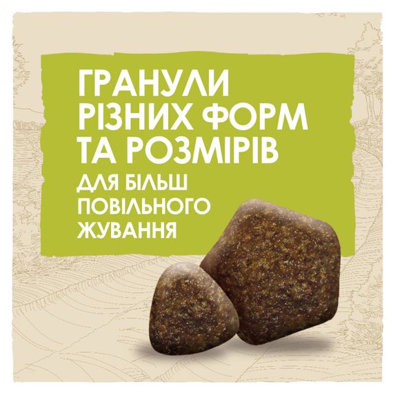 Сухой корм для собак с ягненком Dog Chow Lamb 2.5 кг | Зображення 3