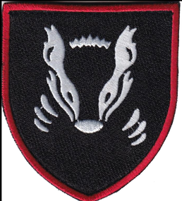 Шеврон 41 ОМБР