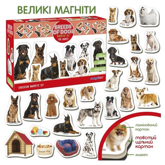 Дитячий розвиваючий набір магнітів "Породи собак" ML4031-20EN 24 фотомагніти | Зображення 4