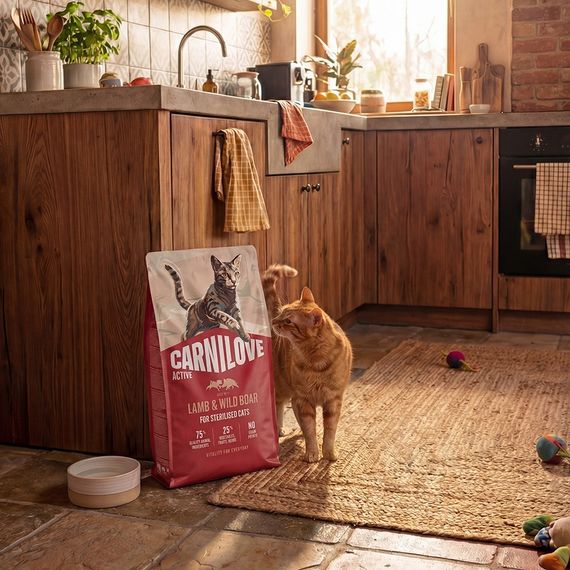 Корм сухий Carnilove Active Lamb & Wild Boar Sterilised для стерилізованих котів ягня і дикий кабан 6 кг | Зображення 7