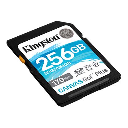 Карта пам'яті Kingston 256GB SDXC class 10 UHS-I U3 Canvas Go Plus (SDG3/256GB) (SDG3/256GB) | Зображення 1