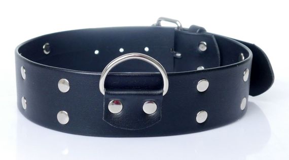 Нашийник зі штучної шкіри з шипами Fetish Boss Series - Collar with studs, BS3300098 sexstyle
