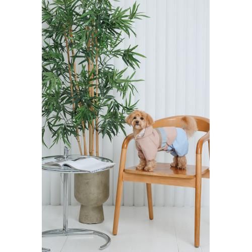 Дощовик Pet Fashion Tina для дівчаток розмір XL бежевий/блакитний | Зображення 9